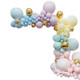 5m Latex Balloon Arch Kit - Assorted Pastels, Gold, 341pcs